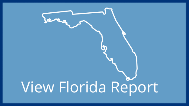 View Florida Report